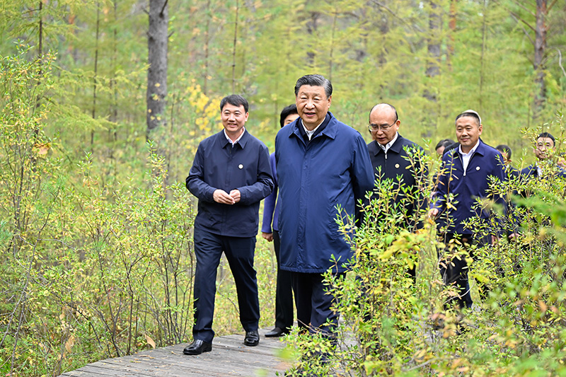9月6日至8日，中共中央總書記、國家主席、中央軍委主席習(xí)近平在黑龍江考察。這是6日下午，習(xí)近平在大興安嶺地區(qū)漠河市漠河林場自然林區(qū)考察